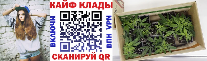 Где купить наркотики Чернушка Бошки Шишки Альфа ПВП Гашиш Меф мяу мяу КОКАИН