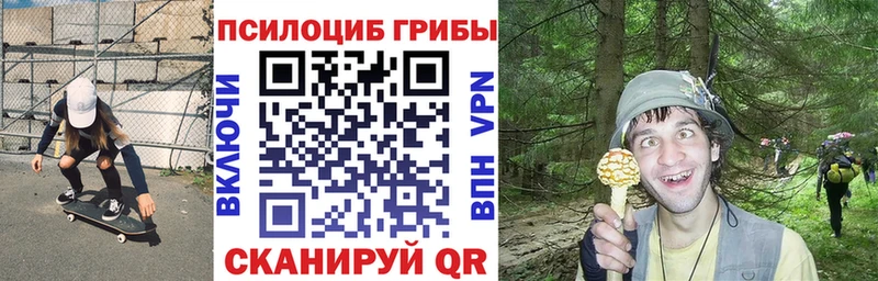 сайты даркнета официальный сайт купить наркоту Чернушка Псилоцибиновые грибы MAGIC MUSHROOMS
