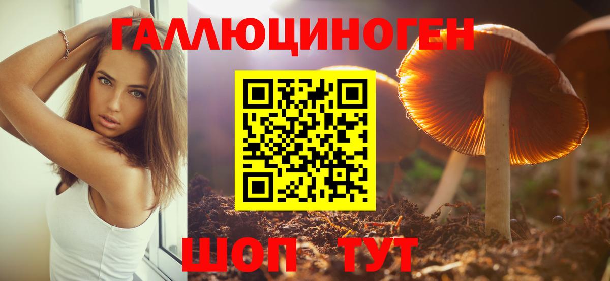 Галлюциногенные грибы ЛСД Чернушка